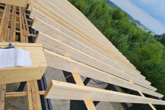 7919f45c-7313-4c9d-8ebe-9f9156c1e276